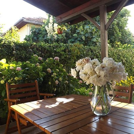 Guest House Hiora アフトポル エクステリア 写真