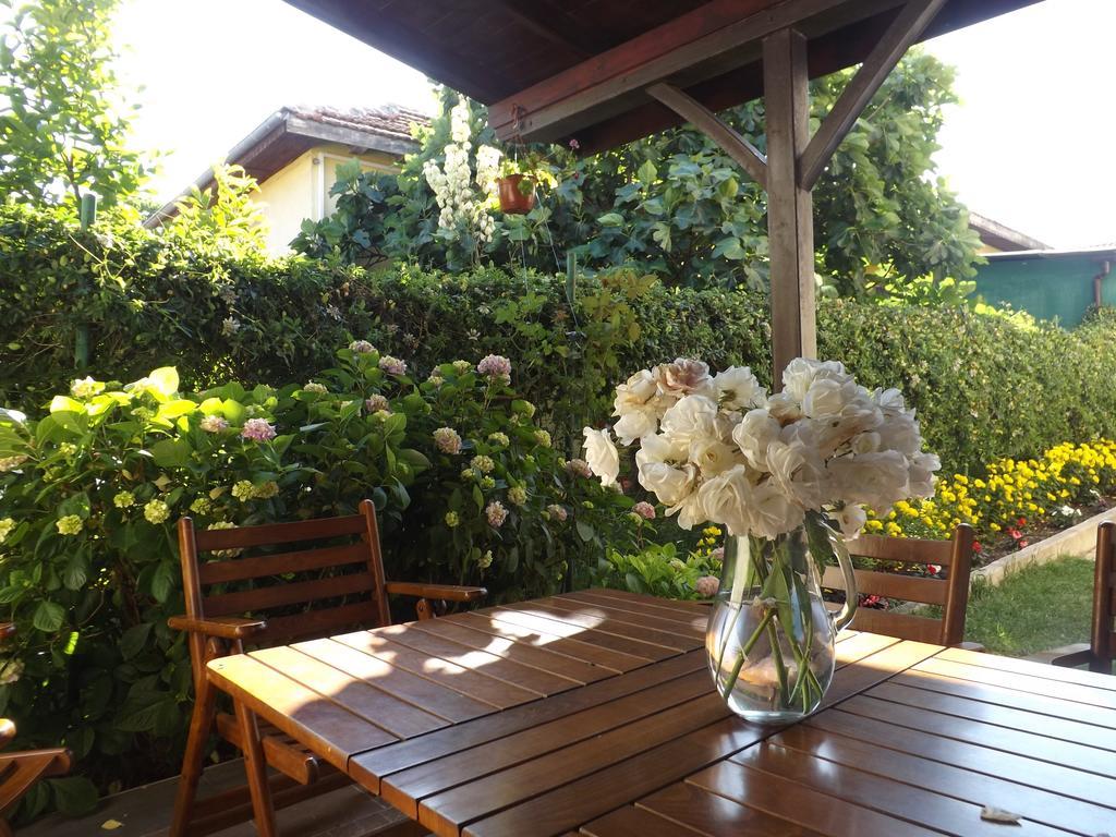 Guest House Hiora アフトポル エクステリア 写真